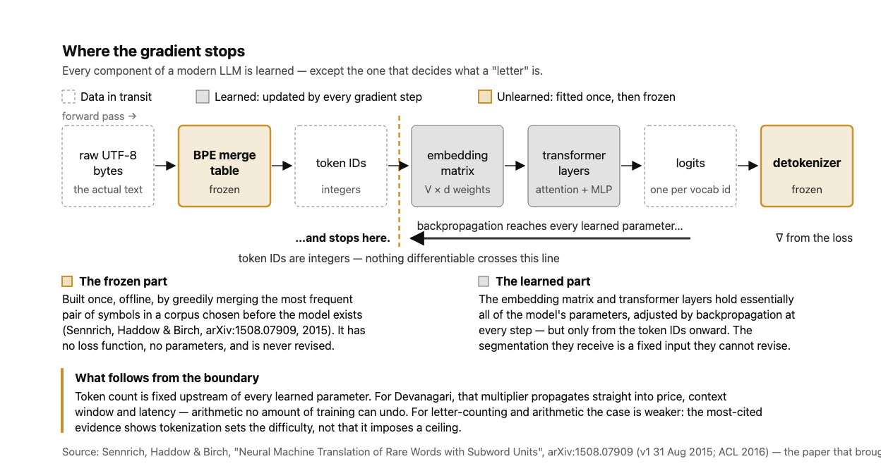 A left-to-right pipeline of seven boxes: raw UTF-8 bytes, BPE merge table, token IDs, embedding matrix, transformer layers, logits, detokenizer. The BPE merge table and the detokenizer are shaded gold and marked "frozen"; the embedding matrix and transformer layers are shaded neutral grey as learned components; bytes, token IDs and logits are dashed outlines marking data in transit. A dashed gold vertical wall runs between "token IDs" and "embedding matrix". Below the pipeline, a thick backward arrow representing gradient from the loss runs leftward from logits through the transformer layers and embedding matrix and terminates at the wall, labelled "and stops here"; the caption under the wall reads "token IDs are integers — nothing differentiable crosses this line". Two annotation columns explain the frozen part (built once by greedy pair merging on a corpus chosen before the model exists, no loss, no parameters, never revised) and the learned part (essentially all parameters, updated every step, but only from the token IDs onward). A closing note states that token count is fixed upstream of every learned parameter, which propagates directly into price, context window and latency, while the letter-counting and arithmetic case is weaker.
